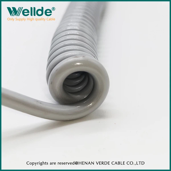 IMG20231204145129 IMG20231204145129