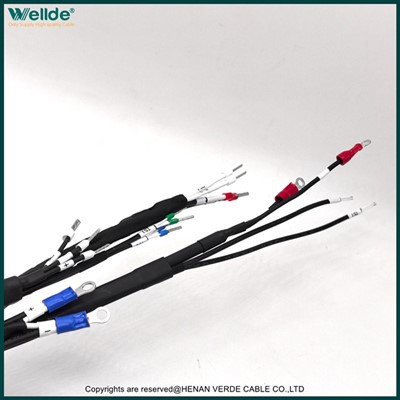 Arnés de cableado personalizado